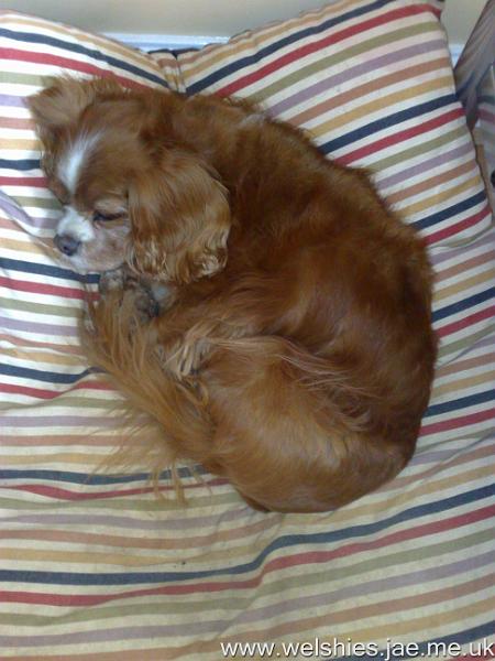 2010-12-12 01.jpg